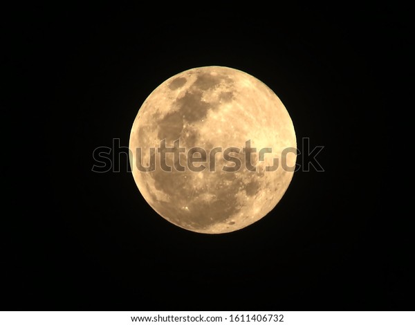 Yellow moon on the full moon
day.