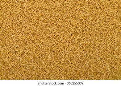 Yellow Mustard Seeds Texture Food Ingredient Background