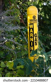 Yellow Natural Gas Underground Pipeline Right Of Way Marker Standing In Bushes