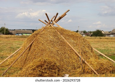 Yellow Oats hay bale on the European rural harvested field at Sunny summer day on blue sky background, haystack forage preperation on the Farm