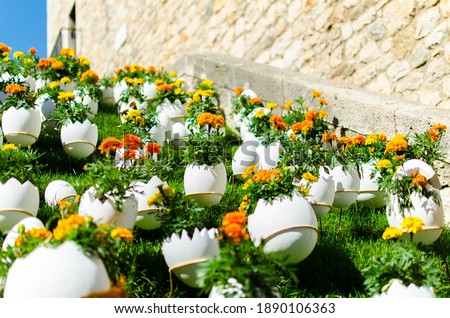
Yellow and orange flowers in eggshell pots. Temps de flors, Girona.