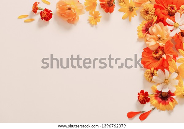 Yellow Orange Flowers On White Background Stock Photo Shutterstock