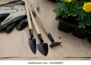 677 Banti Images, Stock Photos & Vectors | Shutterstock