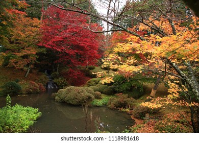 Yellow, orange and red autumn leaves in beautiful park. Fall season.