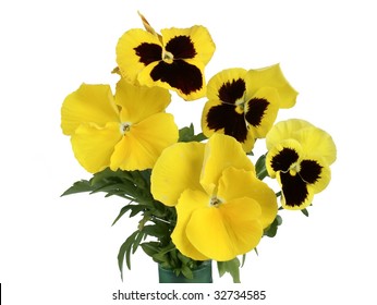 Yellow Pansies