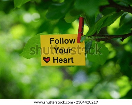 A yellow paper note with the phrase Follow Your Heart on it attached to a tree branch with a clothes pin. Close up.