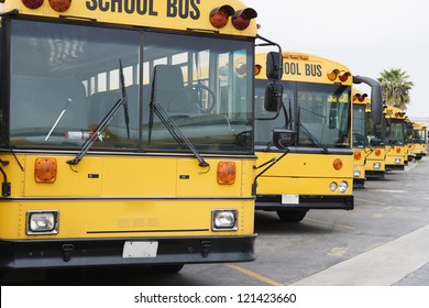 Yellow Parked School Buses In The Parking Lot