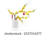 Yellow Peach Apricot blossom flower tree vase pot traditional vietnamese Tet Lunar New year decoration on a white. Lucky charm  of cherry flower branch bonsai for wishing lucky on Chinese new year