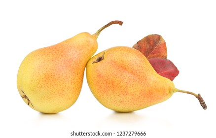 Yellow pears with autumn leaves isolated on white background. - Shutterstock ID 1237279666