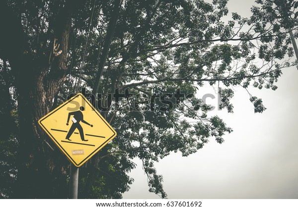 Yellow\
pedestrian crossing sign surrounded by tree\
nature