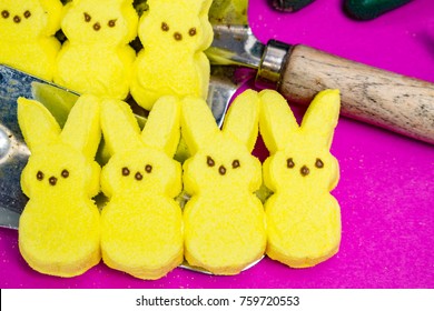 Yellow Peeps On Garden Trowel