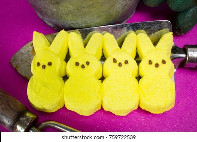 Yellow Peeps On Garden Trowel