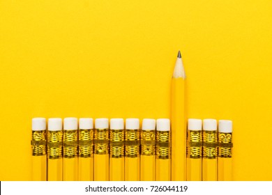 yellow pencils with erasers. leadership concept - Powered by Shutterstock