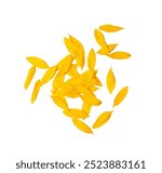 Yellow Petals Isolated, Sunflower Petal Pile Group, Orange Blossom Design, Yellow Petals on White Background