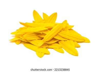 Yellow Petals Of Jerusalem Artichoke Plant On White