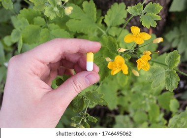 Yellow Pill In A Hand. Yellow And White Pill. Nature And Pills. People And Medicine. Products. Marketing