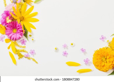 yellow and pink flowers on white background