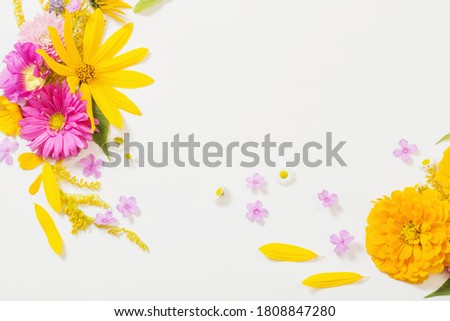 Similar – Image, Stock Photo PURPLE FLOWER Autumn