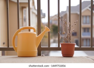 Yellow Plastic Watering Can With Dead Plant In Pot, Placed On Apartment Terrace