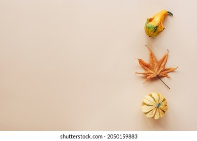Yellow pumpkins and autumn leaf on a light beige background with copy space. Thanksgiving concept. Top view, flat lay
