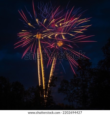 Yellow, purple and blue fireworks exploding over trees in the sky, leaving trails as the arise and detonate with loud booms.