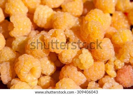 Yellow raspberry background. Close up.