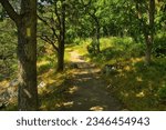 A yellow rectangle marks the path of The Ice Age Trail as it passes through Devil