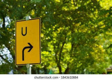 Yellow Rectangular Road Bypass Sign Against The Background Of Tree Foliage. Close-up.