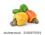 Yellow and red Cashew fruits with leaves isolated on white background.
