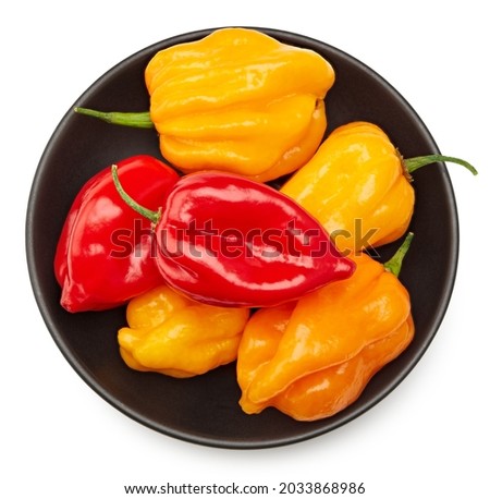 yellow and red habanero chili hot peppers isolated on white background. clipping path. top view