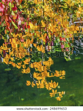 Autumn flowers and leaves on blue