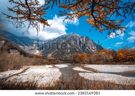 Yellow red pine trees alongside Azusa river and have mount Yake in background during autumn period in Kamikochi national park in Matsumoto, Nagano, Japan, Beautifully colored leaves in forest