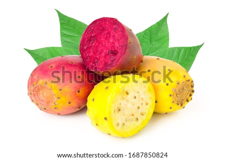 yellow and red prickly pear or opuntia isolated on a white background