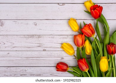 Yellow and red tulips on a light wooden background. Background with a place for text