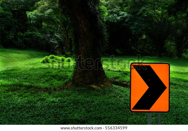Yellow reflective street sign right turn ahead on lush\
green background with single tree trunk park garden                \
              
