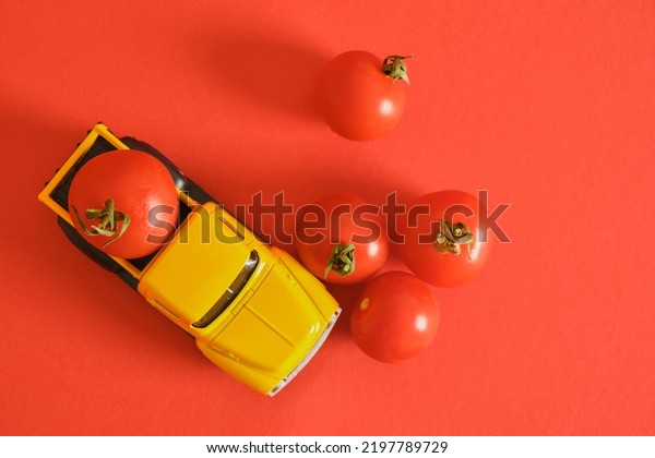 yellow retro pickup truck and small cherry\
tomatoes on red background, harvesting, ketchup advertising,\
concept creative product\
presentation