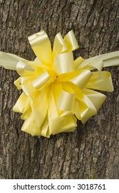 A Yellow Ribbon Around A Maple Tree