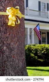 Yellow Ribbon On Tree