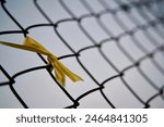 A yellow ribbon tied to a wire fence, symbolising the solidarity for hostages taken during the Israel-Gaza War, serving as a reminder of the ongoing struggle and the urgent need for their safe return.