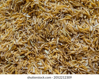 Yellow Rice Chaff, Rice Husk, Rice Hull Background Texture