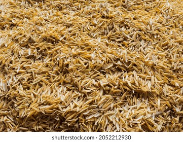 Yellow Rice Chaff, Rice Husk, Rice Hull Background Texture