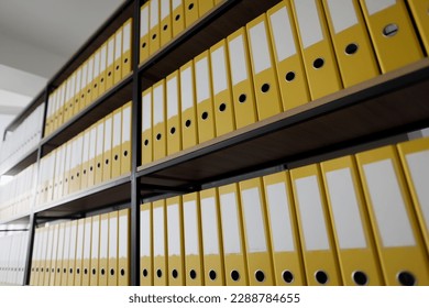 Yellow ring binders with files and documents put in long rows on shelves. Organized folder structure and archive on large rack in modern office
