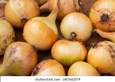 yellow ripe onions on a wooden table, good harvest for the farmer