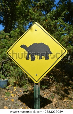 Yellow roadsign, attension for turtles around in Seattle