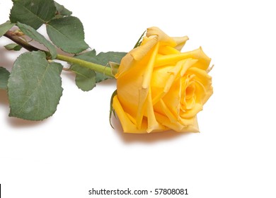 60,049 Single yellow rose Images, Stock Photos & Vectors | Shutterstock