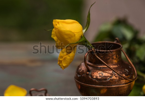 Yellow Rose Bronze Vase On Painted Stock Photo Edit Now 1094703893