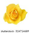 yellow roses isolated