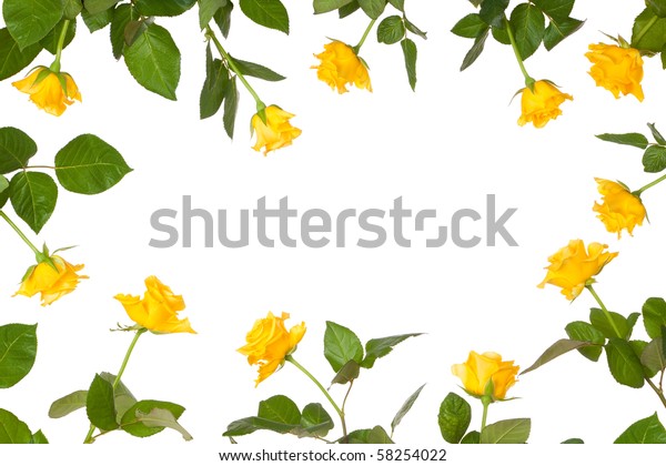 Yellow Rose Flower Border Arrangement Isolated Stock Photo (Edit Now ...