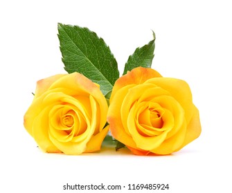 207,785 Yellow rose isolated Images, Stock Photos & Vectors | Shutterstock