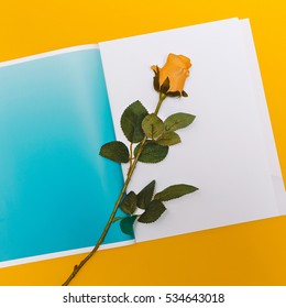 Yellow Rose. Minimal. Art design. Fashion concept. Card. Write something here